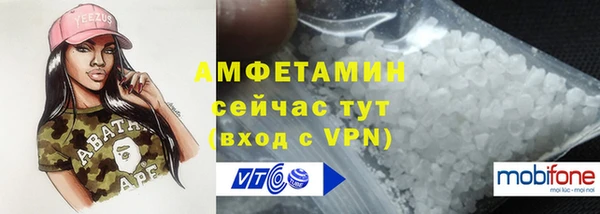 твердый Алексин