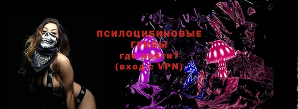 крисы Алзамай
