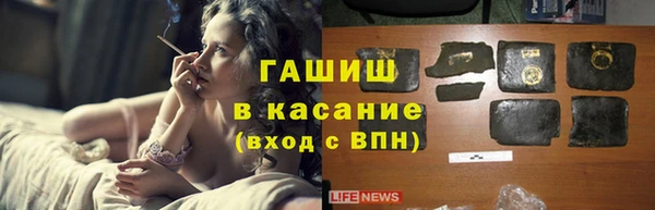 крисы Алзамай