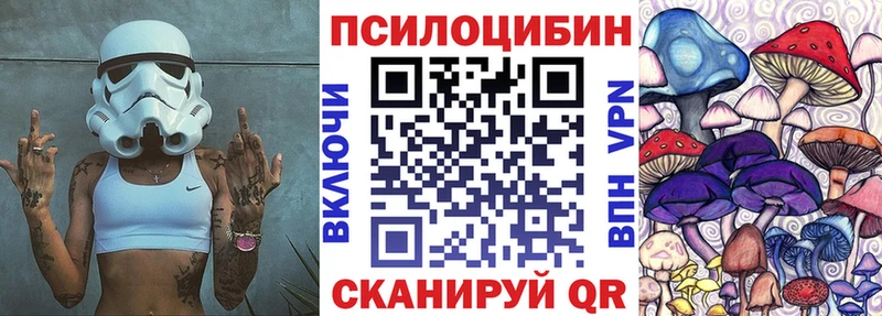 KRAKEN как войти  Юрьевец  Псилоцибиновые грибы прущие грибы 